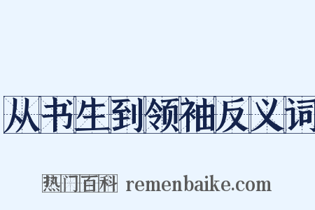从书生到领袖反义词是什么意思的图片